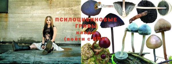 каннабис Алзамай