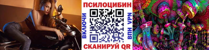 Псилоцибиновые грибы Magic Shrooms продажа наркотиков Тимашёвск